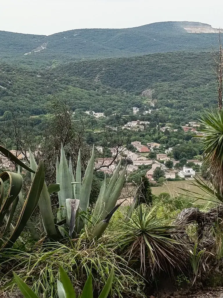 Christelle Grelon_Bar restaurant - Grotte des Demoiselles_Saint-Bauzille-de-Putois_review