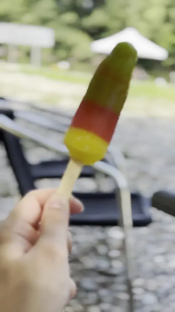 Mau Ptr_Les pieds dans l'eau_Saint-Bauzille-de-Putois_review