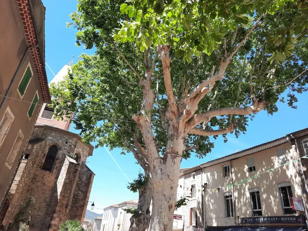 Le Vernazobre_Saint-Chinian_slider_image_3