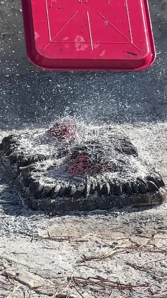 Stephen Mak_L'Eclade_Marennes-Hiers-Brouage_review