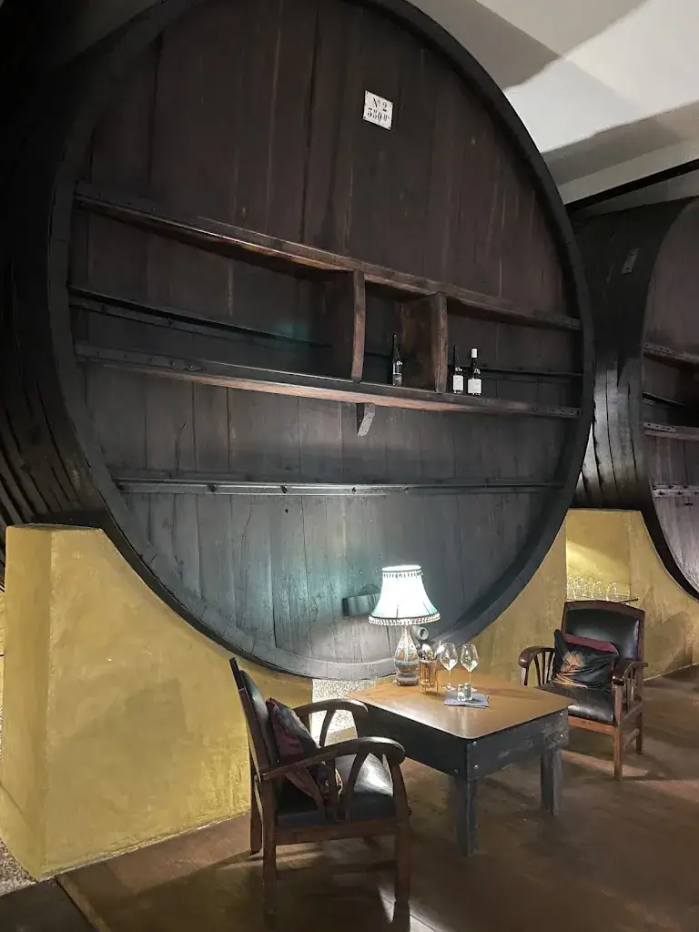 Birk Louis Aarseth Grindal_Le Pied de la Lune_Villespassans_review