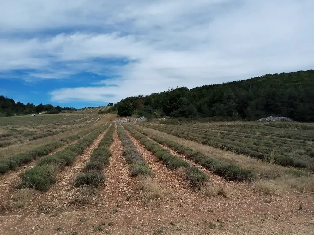 Bar-Tabac du Cours_Saint-Christol_slider_image_2