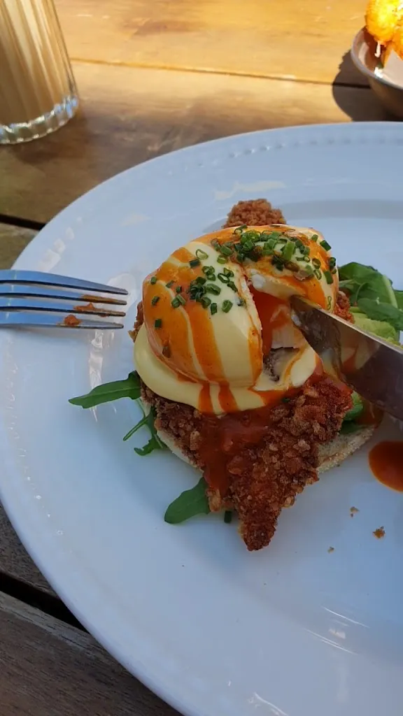 HATCH_Kingdom_slider_image_2