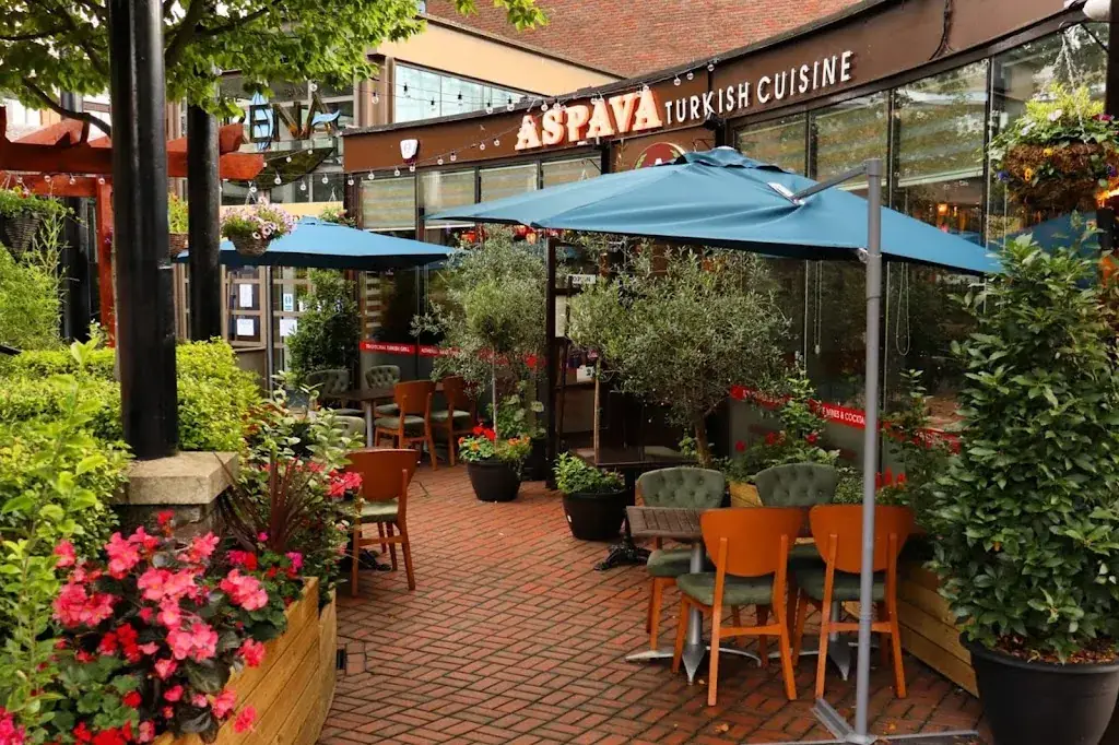 Aspava_Kingdom_slider_image_1