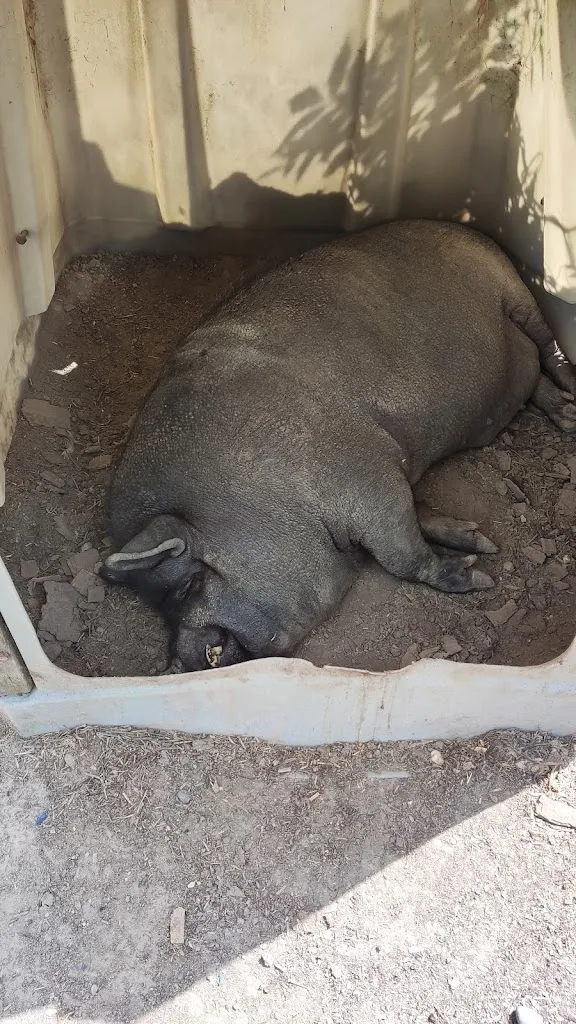 Adrian_La Ferme du Ramier_Montauban_avis