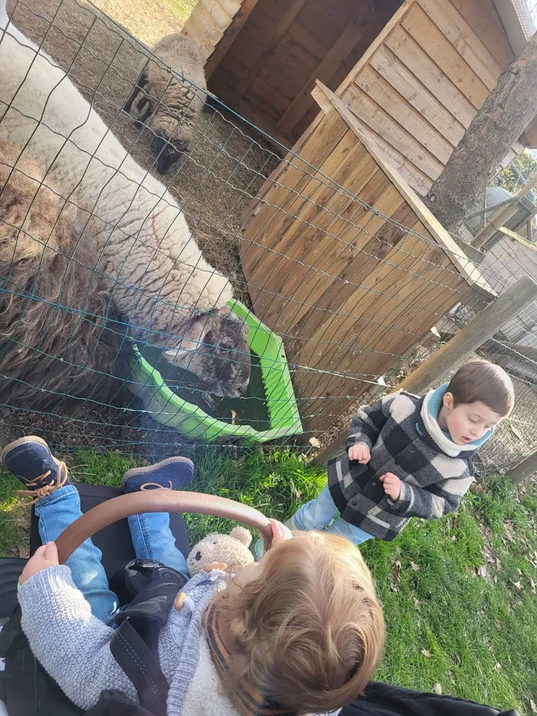 Laurent Estay_La Ferme du Ramier_Montauban_avis