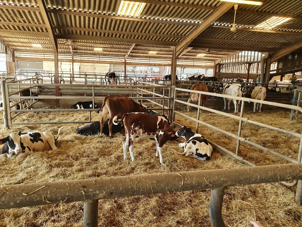 La Ferme du Ramier_Montauban_slider_image_2