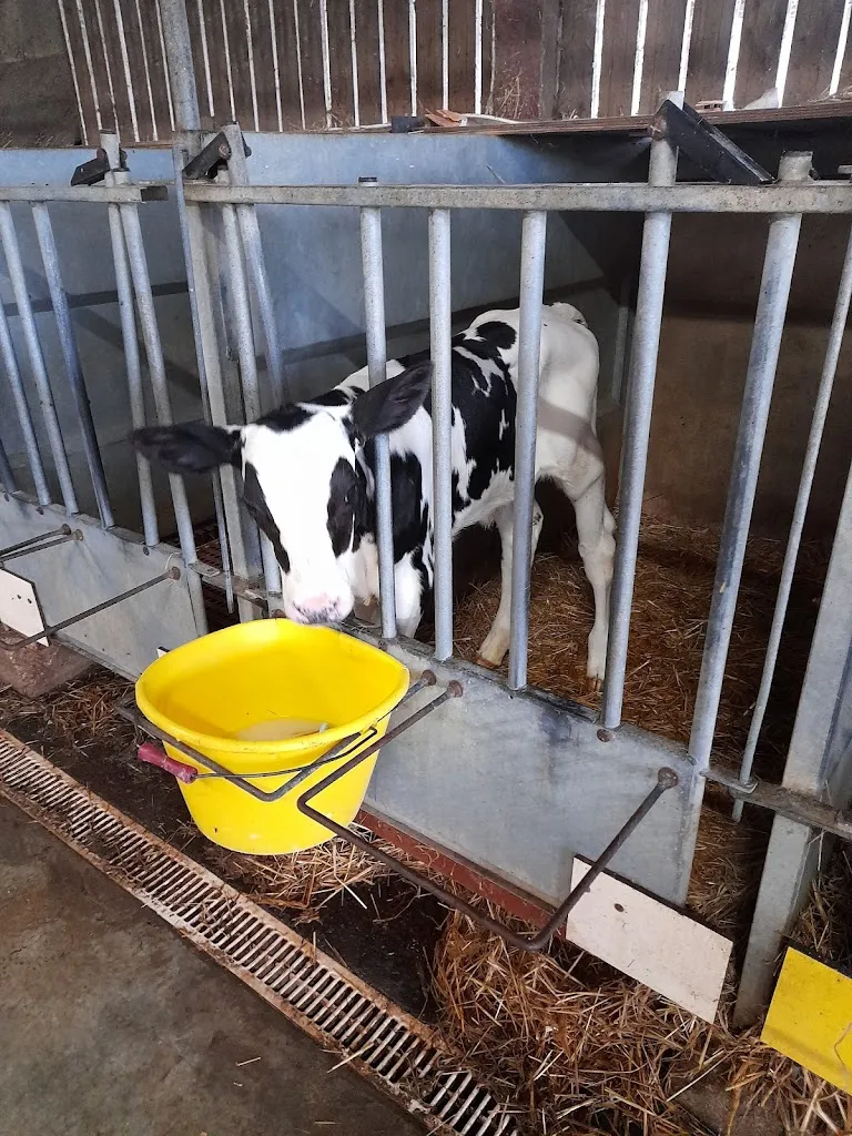 La Ferme du Ramier_Montauban_slider_image_3