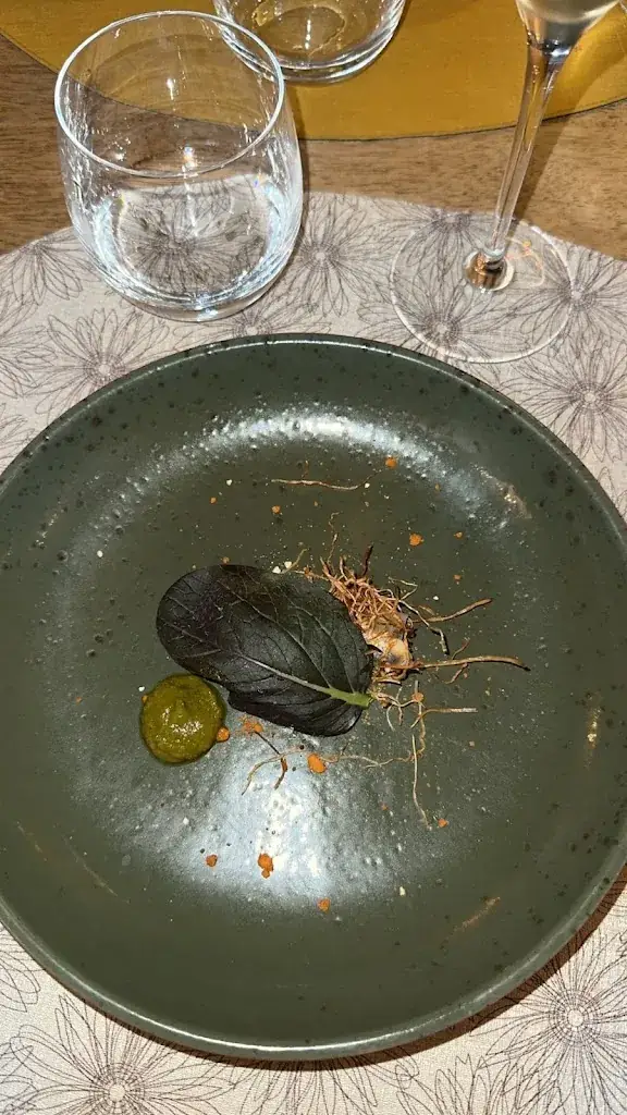 Valero Ophélie_Restaurant Mas Alégria_Saint-Estève_review