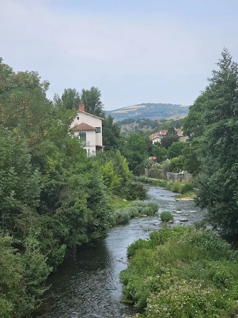 Tom Tom_Le Soleil du Parc 