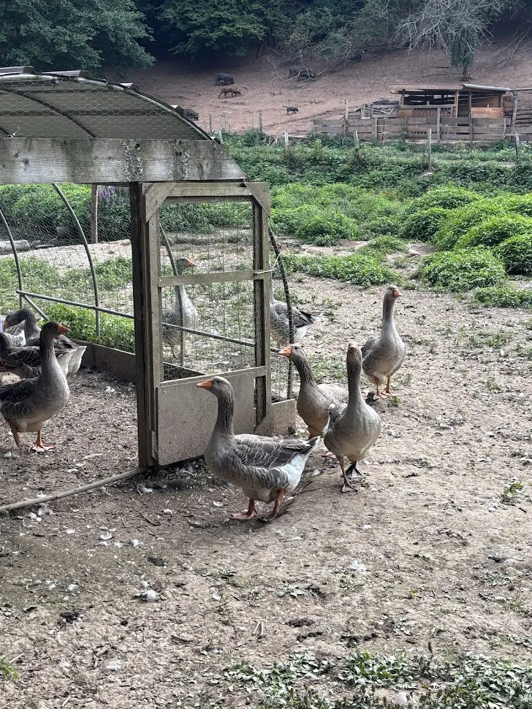 Célia_La Table de Gaya_Montjoie-en-Couserans_recensione