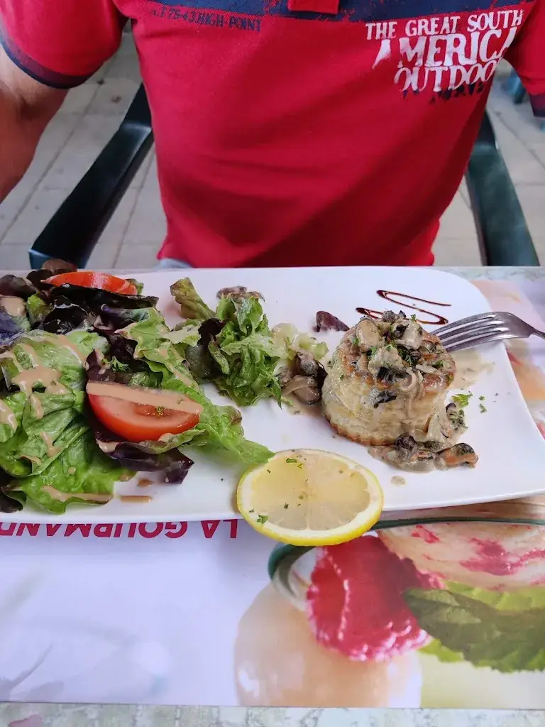 Marc en Nicole Taeymans - d' Hertefelt_Restaurant le Camargue_Saint-Martin-d'Ardèche_review