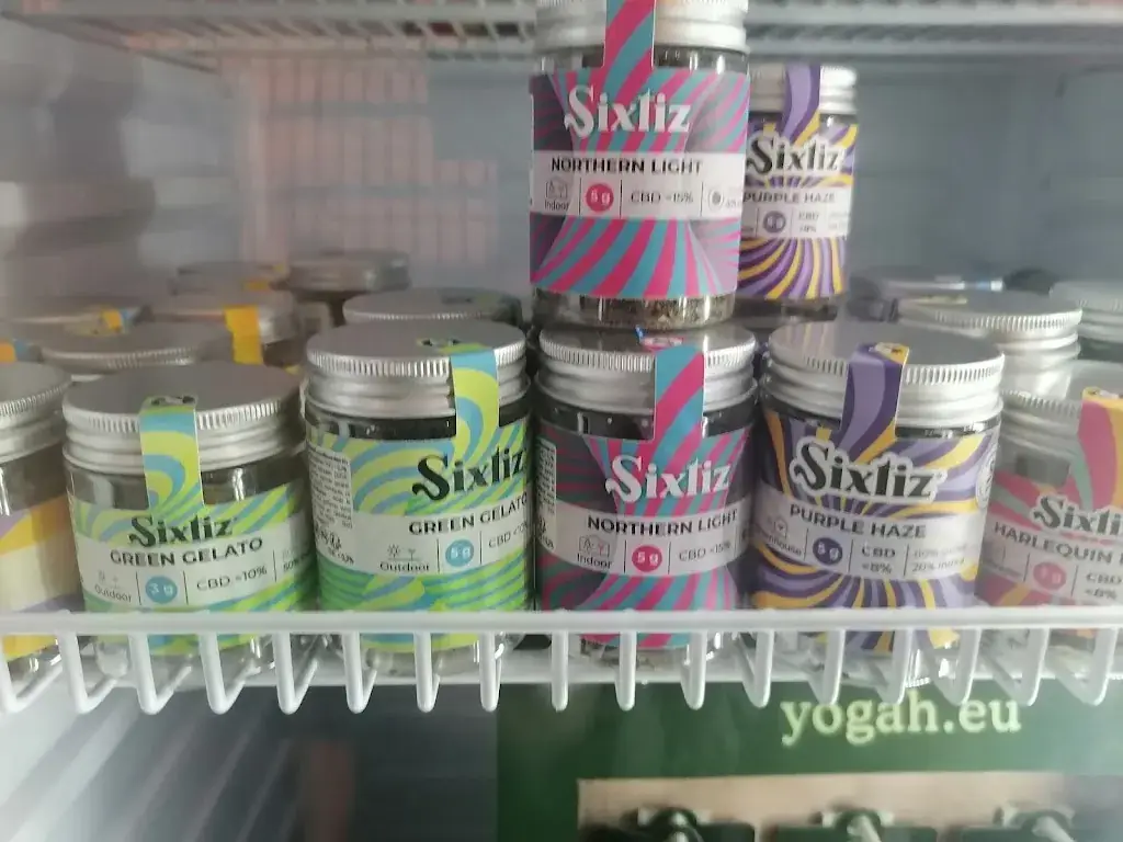 Menu_L'Esquisse_Pechbonnieu_image_8