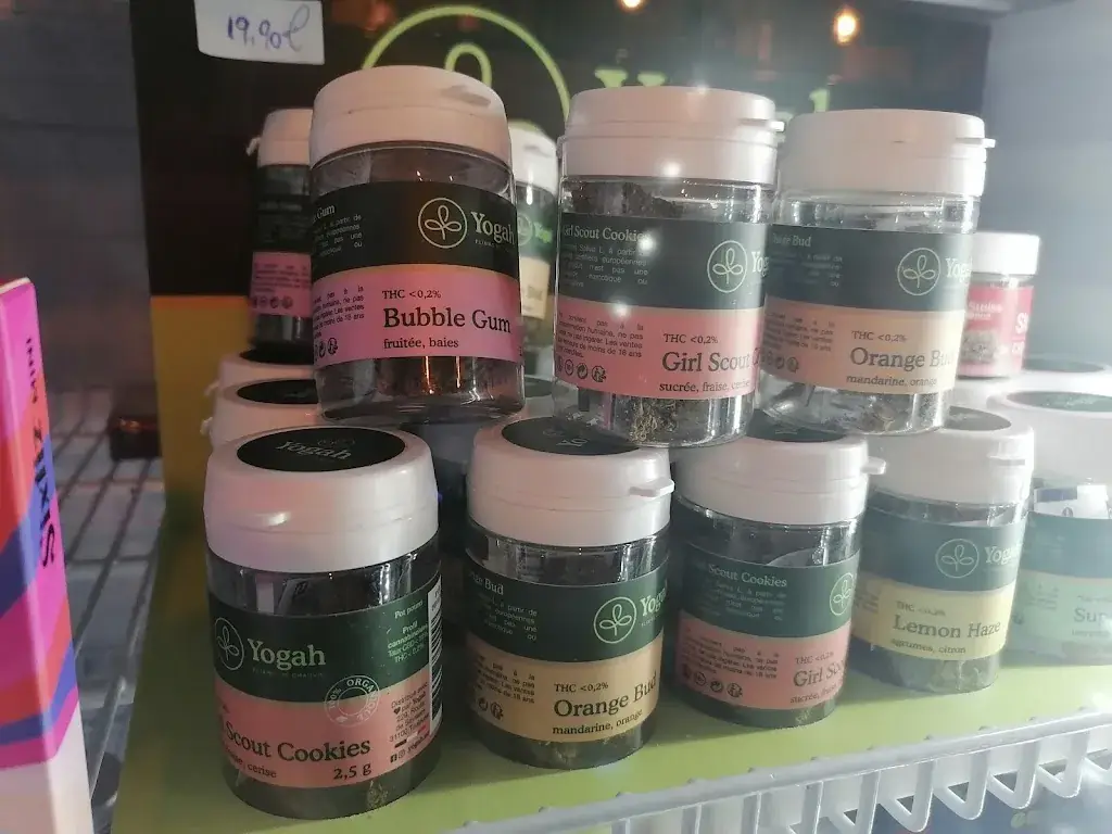 Menu_L'Esquisse_Pechbonnieu_image_9