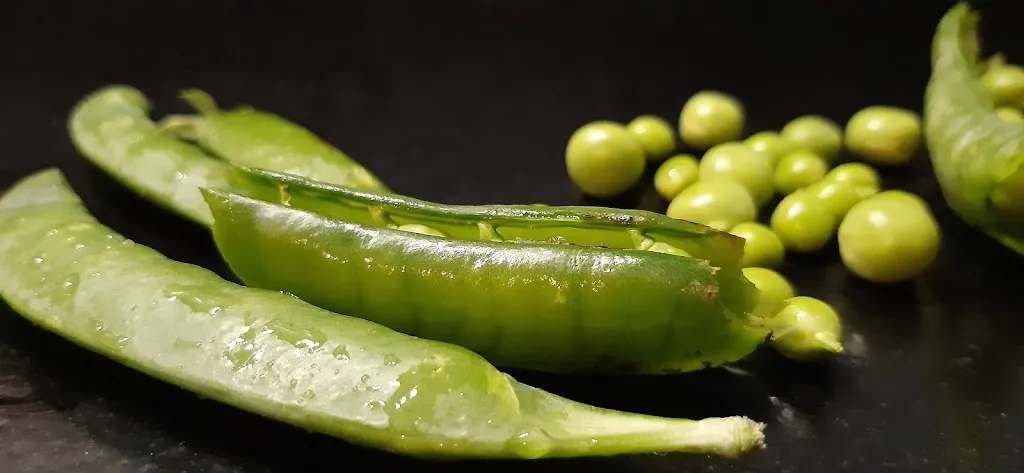 Menu_Le Bonheur du Jour_Saint-Laurent-de-la-Salanque_image_8