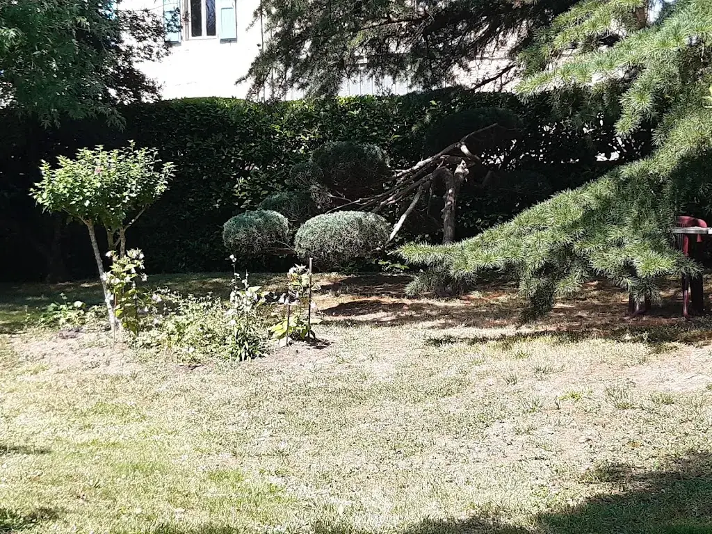 la rainette_Auberge de l'Agout_Damiatte_review