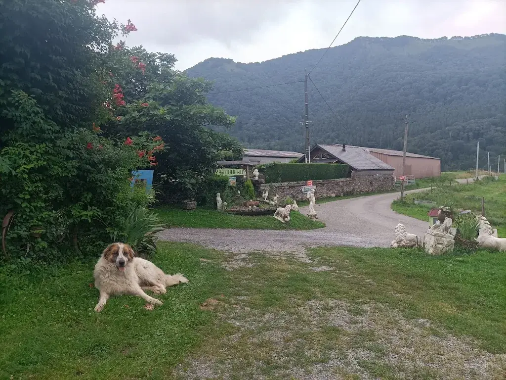 Andrés Boetti_Auberge - Chambres Arboucau_Saint-Pé-de-Bigorre_review