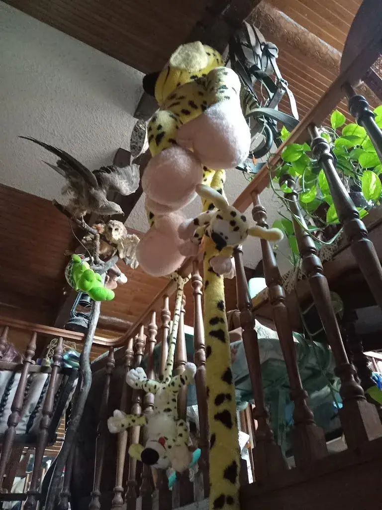 canthelou melusine_Auberge - Chambres Arboucau_Saint-Pé-de-Bigorre_review