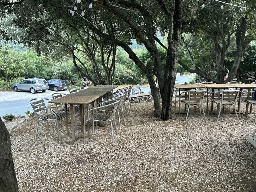 JJ_Le Donjon de Peyrepertuse_Duilhac-sous-Peyrepertuse_review