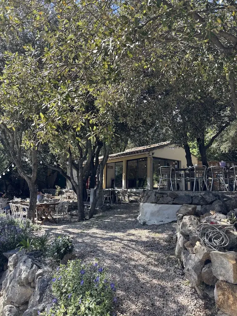 Sylvie Johnson_Le Donjon de Peyrepertuse_Duilhac-sous-Peyrepertuse_review