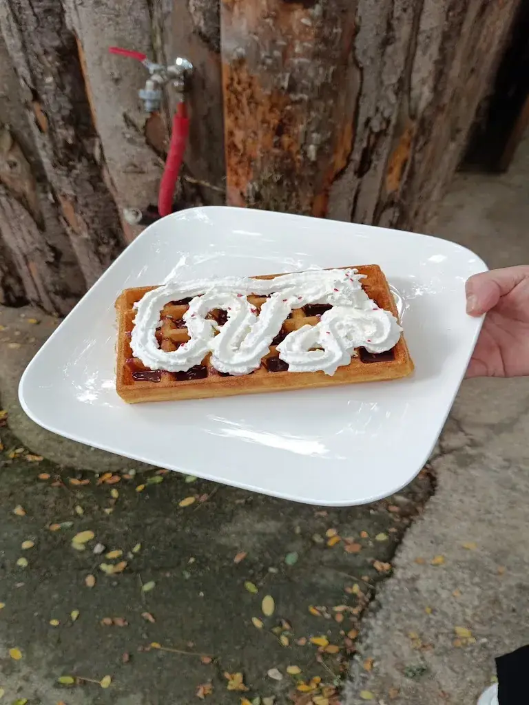 Menu_Snack La Source_Salies-du-Salat_image_1