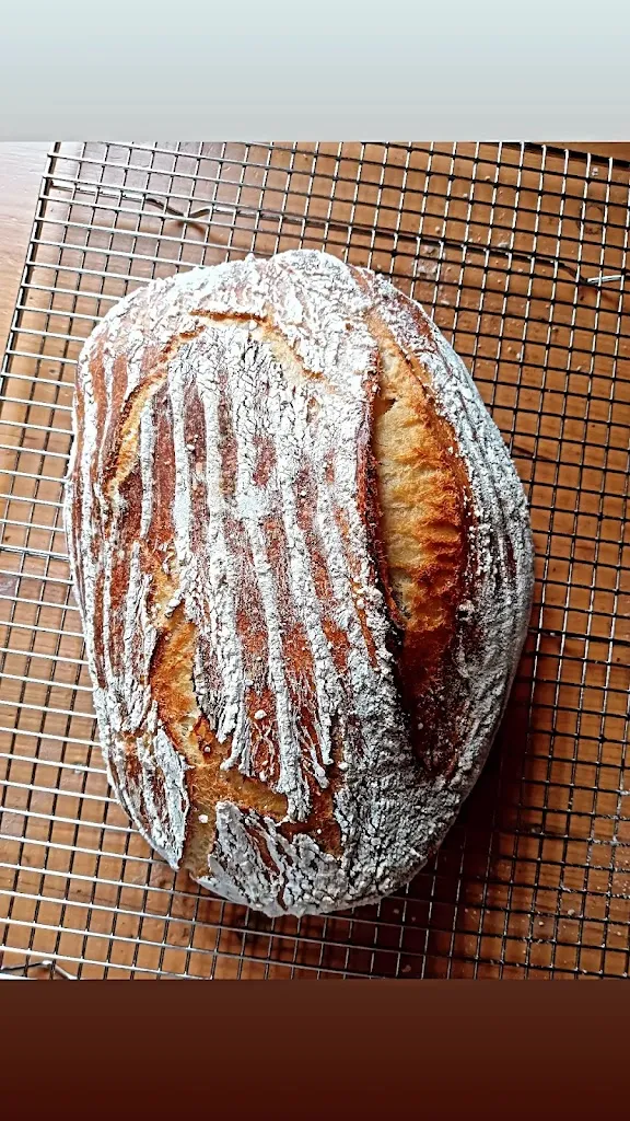 Menu_Domaine La Marche_Salses-le-Château_image_2