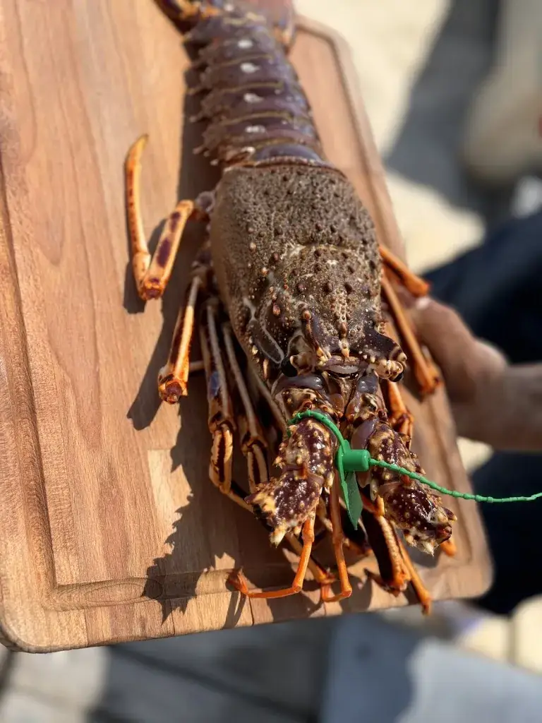 Menu_La Playa ... en Camargue_Saintes-Maries-de-la-Mer_image_6