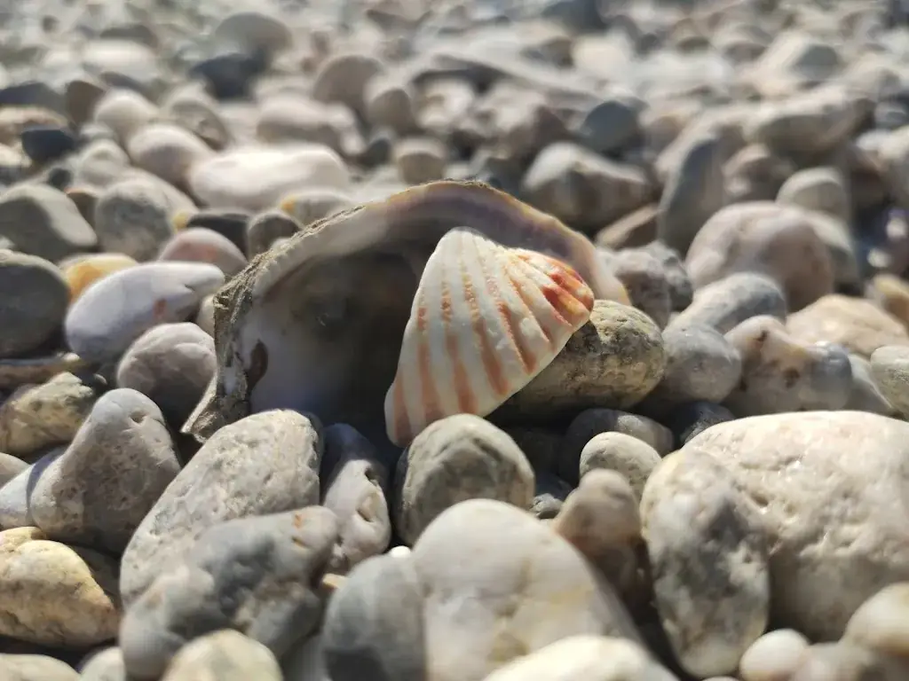 Menu_Le Spot_Sainte-Marie-la-Mer_image_9