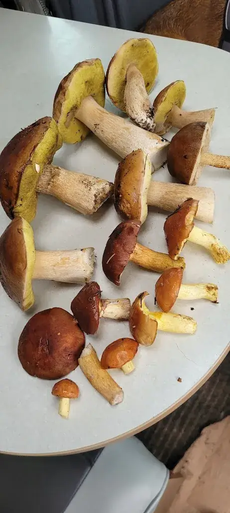 Menu_Epi du Moulin l'auberge du moulin_Saint-Laurent-de-Cerdans_image_5