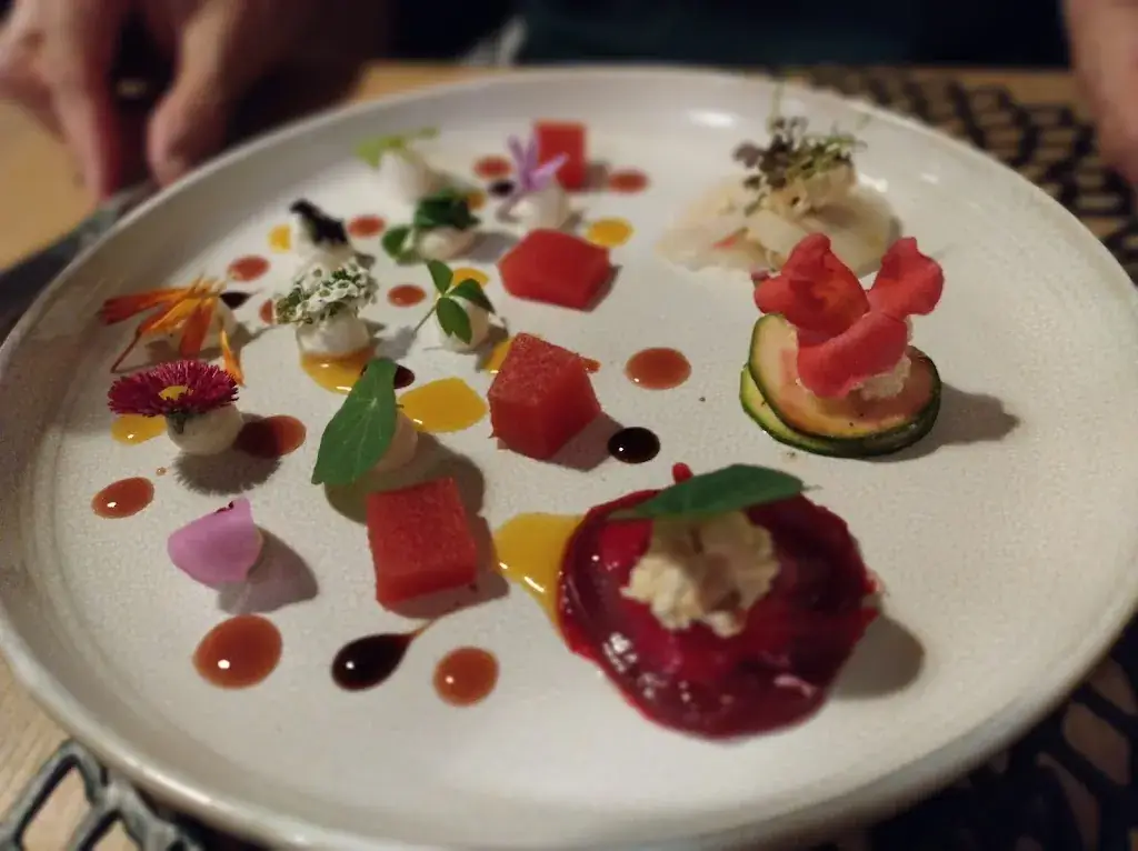 Karin Lane_La Salamandre_Sorède_review