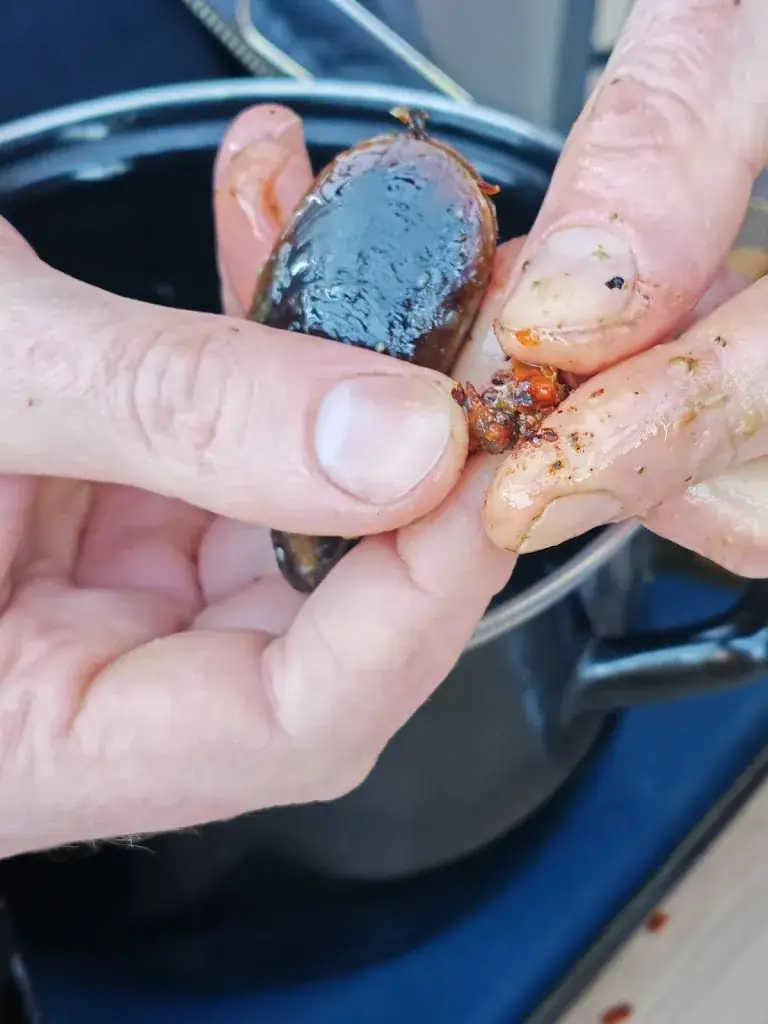 Rick Sosinski_L'aquentine_Sète_review