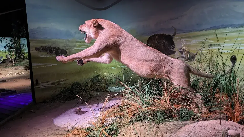 Restaurant du Parc de la Préhistoire_Tarascon-sur-Ariège_slider_image_3