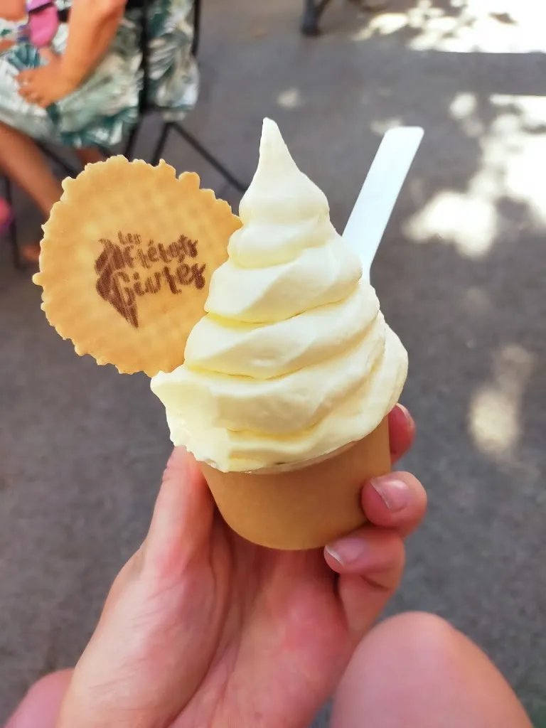 Menu_Les Frérots Givrés_Sommières_immagine_8