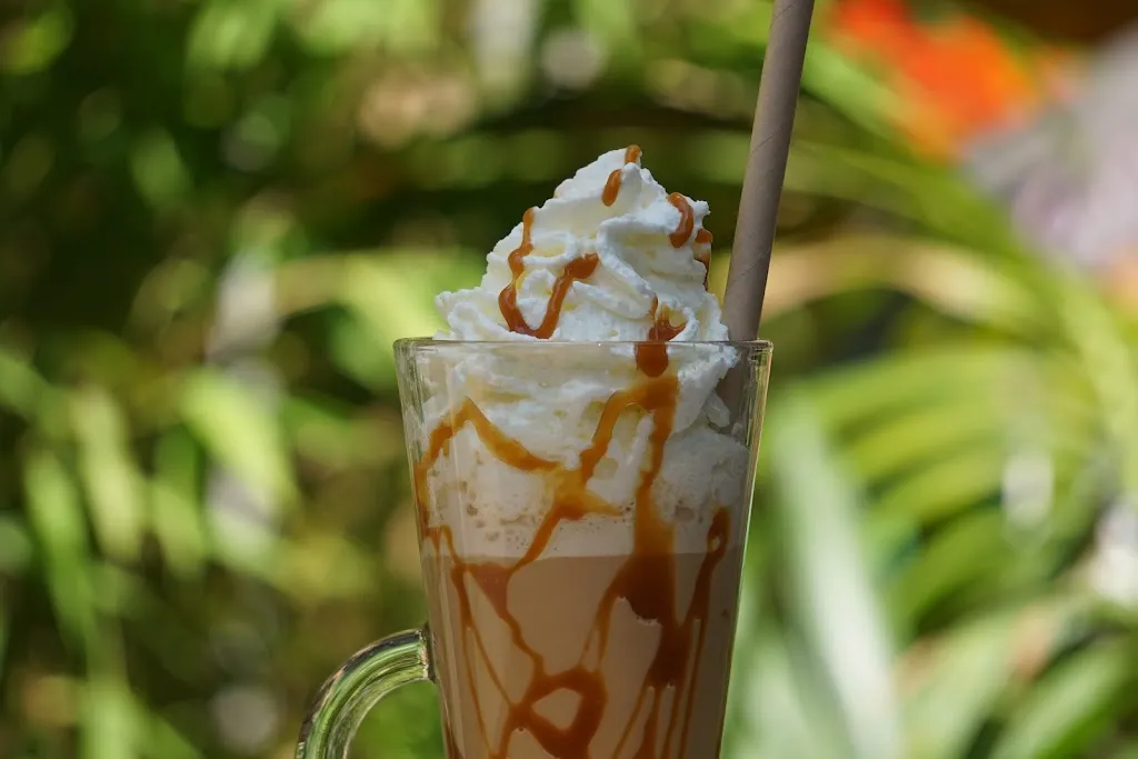 Les Frérots Givrés_Sommières_slider_image_3