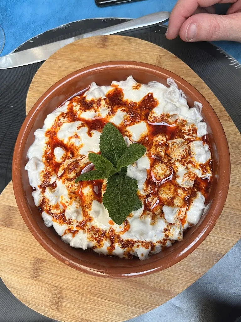 Louise Bonneville_La maison de la viande turquoise_Sommières_review