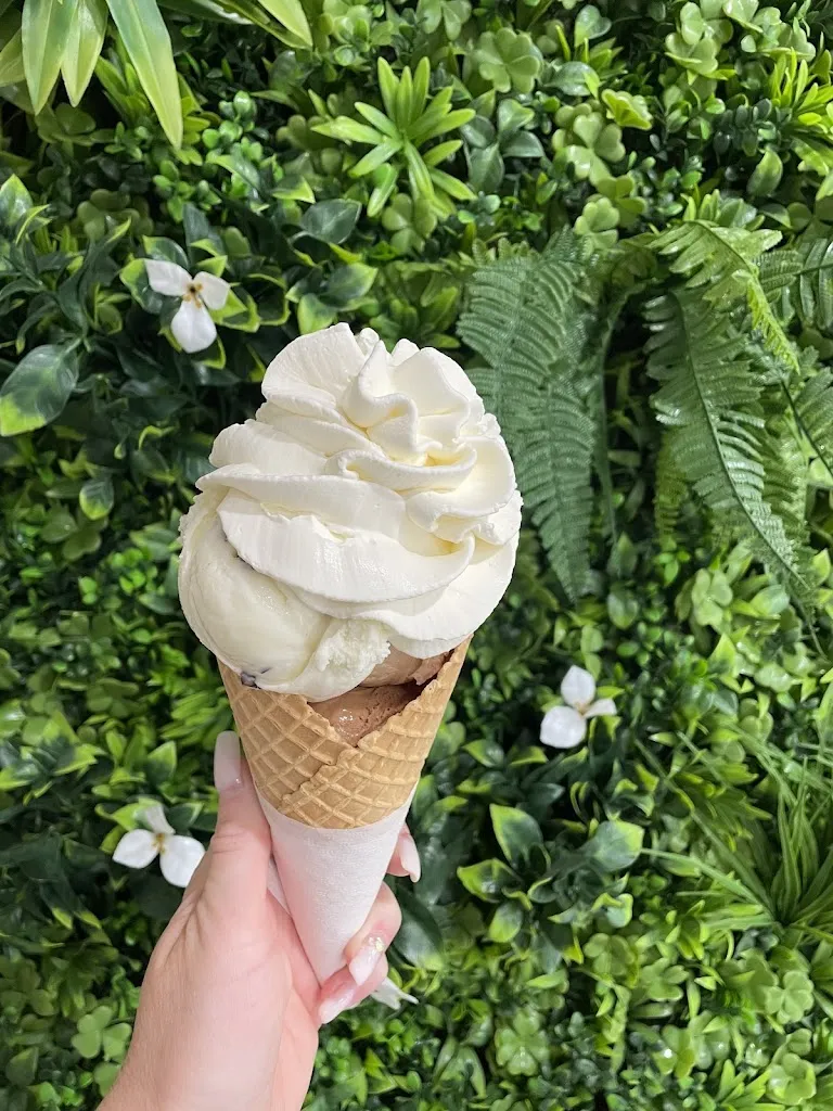 Menu_Glaces et Délices_Sommières_image_3