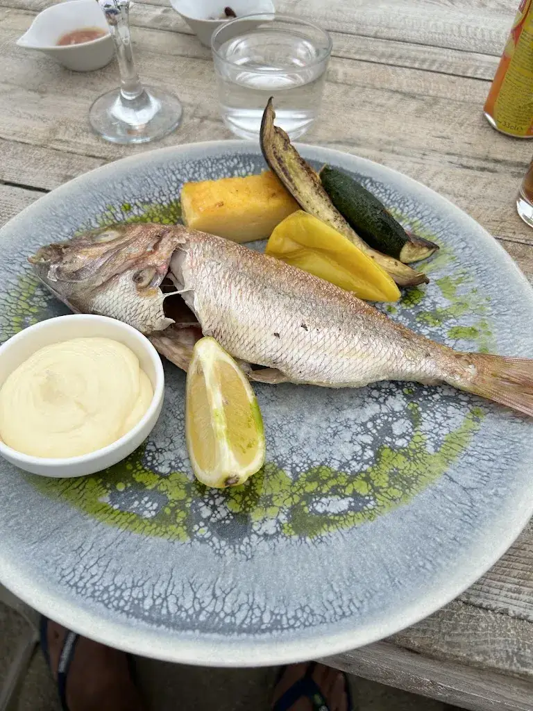 Amir Hefni_La Baraquette_Torreilles_recensione