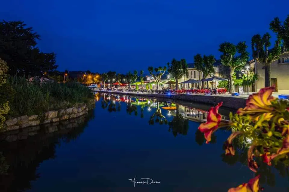 John Exall_Les Vignes de Bacchus_Trèbes_review