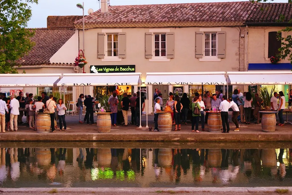 Les Vignes de Bacchus restaurant in Trèbes