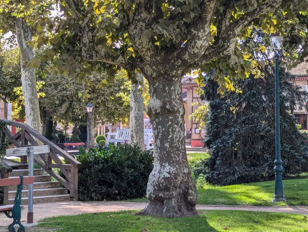 Barbara Guidi_La Terrasse des Étangs_Vonnas_review