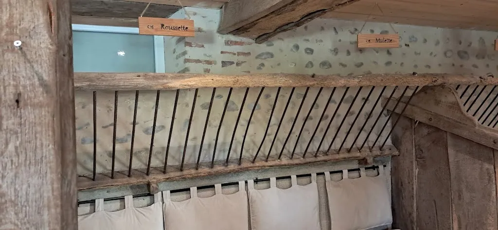 Marie-Christine B_Ferme AUBERGE DE Puydarieux_Puydarrieux_recensione