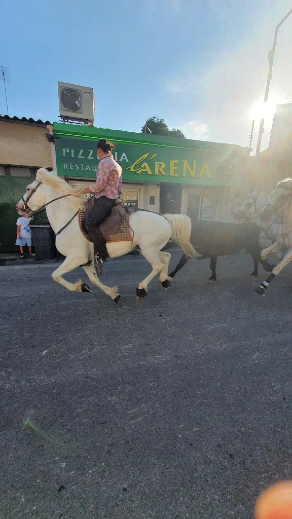 Jan Veerman_L'Aréna_Uchaud_review