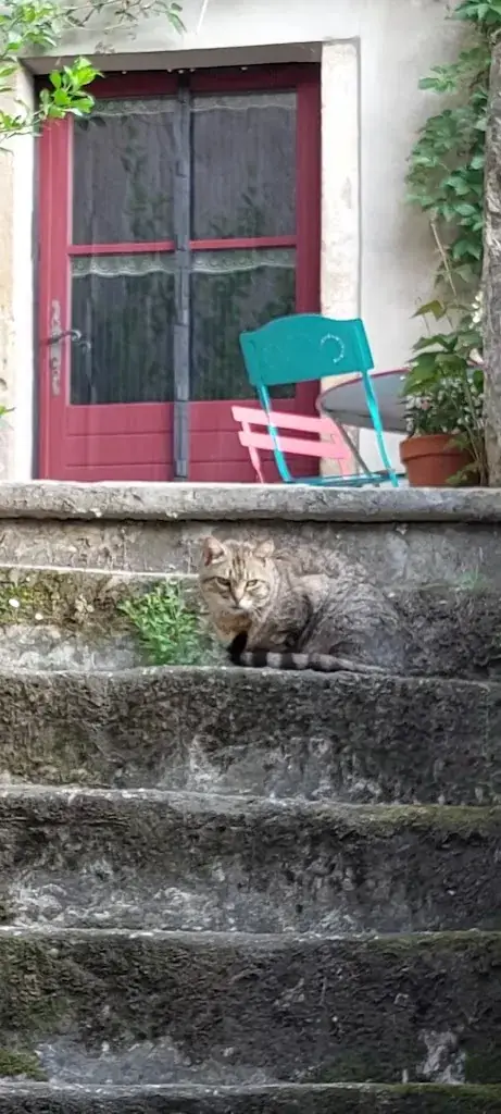 Hôtel Auberge Cévenole restaurant_Val-d'Aigoual_slider_image_2