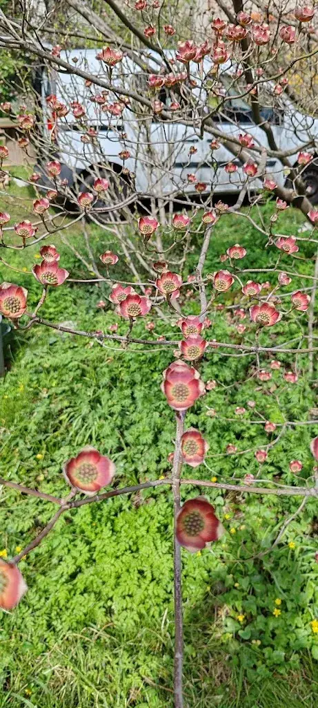 Attila_Le Jardin Hors du temps_Val-d'Aigoual_review