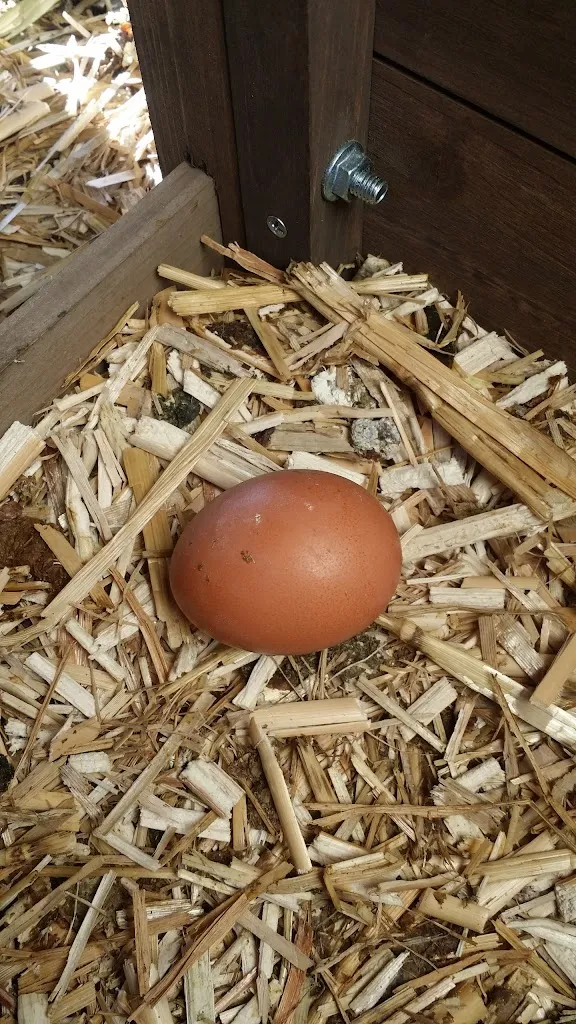 Chez Poulette, guinguette le soir, restaurant le midi_Vendargues_slider_image_3