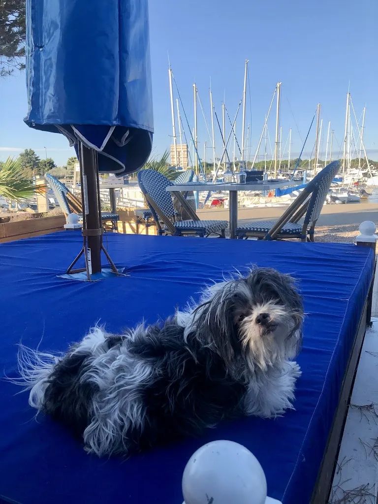 Jimena Veronica_La Guinguette du Chichoulet_Vendres_review