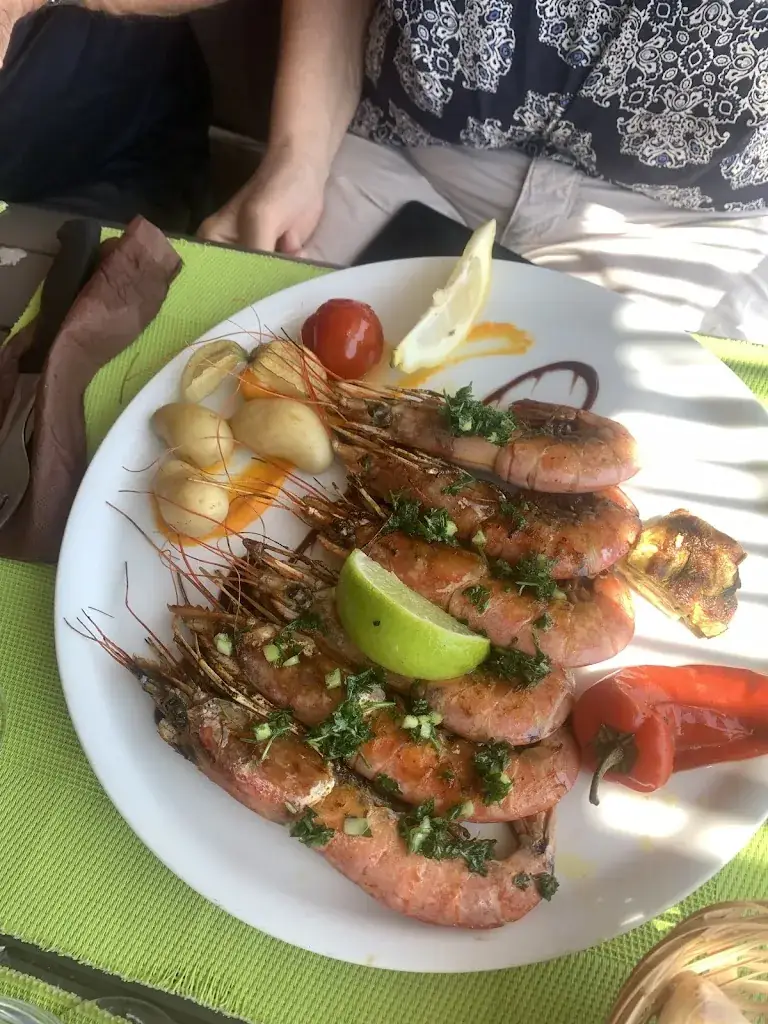 Ira Faro_Les Canisses_Vendres_recensione