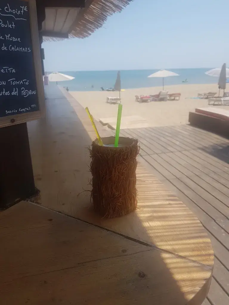 Dominique Dyer_Les Canisses_Vendres_recensione