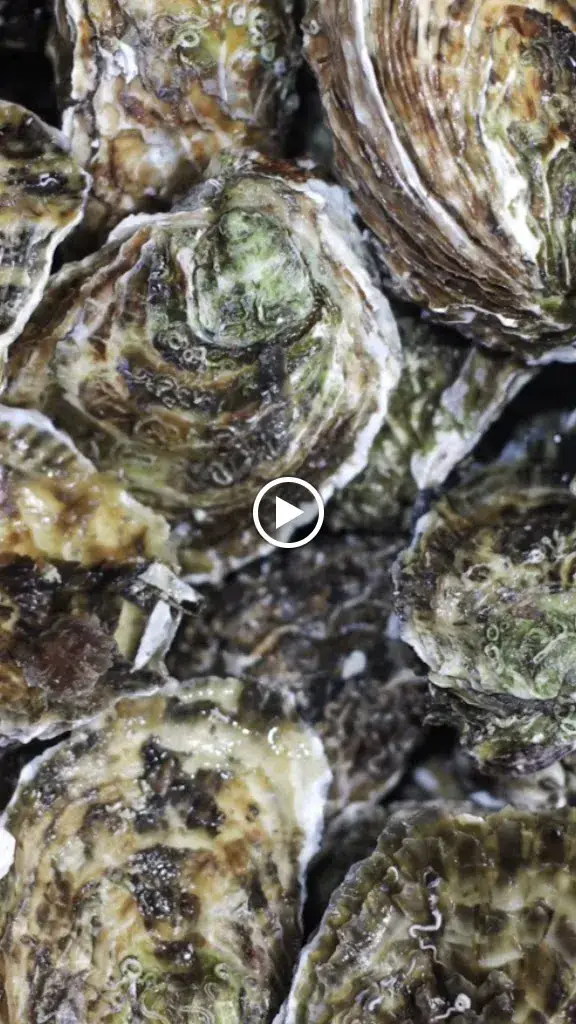 Chez Penda Valras Plage Coquillages_Valras-Plage_slider_image_2