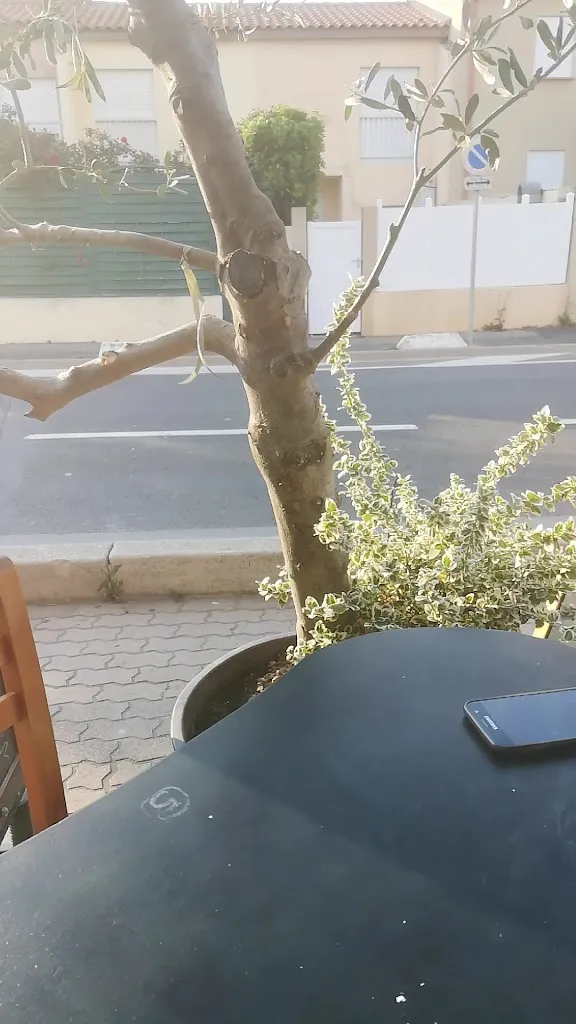 La Casa Loca_Valras-Plage_slider_image_2